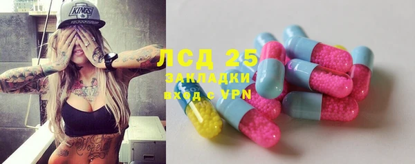 индика Алзамай