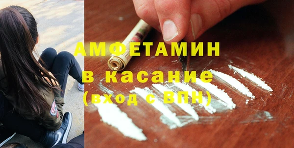 индика Алзамай