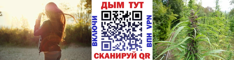 Каннабис индика  где продают   Заозёрный 
